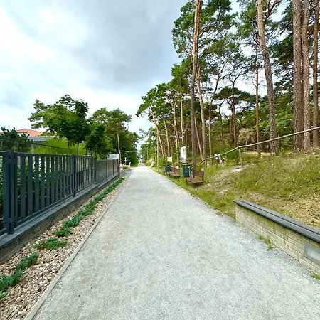 Hevenia Boho מיצ'יצ'ניו